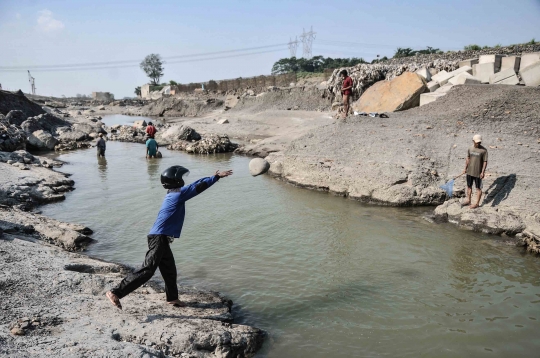 Berburu Ikan di Kala Sungai Cipamingkis Mengering