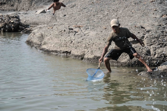 Berburu Ikan di Kala Sungai Cipamingkis Mengering