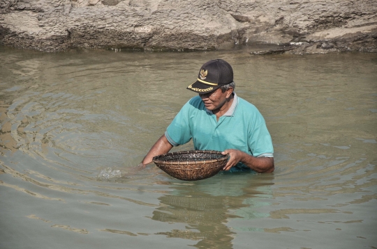 Berburu Ikan di Kala Sungai Cipamingkis Mengering