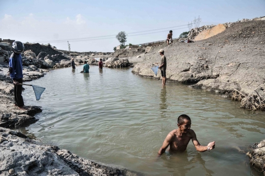 Berburu Ikan di Kala Sungai Cipamingkis Mengering