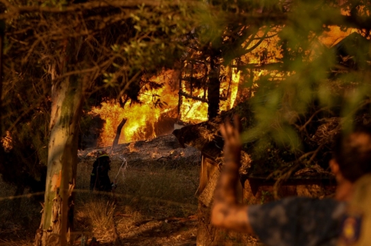 Berjibaku Memadamkan Hutan Yunani