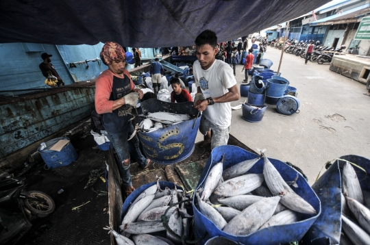 Ekonomi Nelayan Membaik di Masa Pandemi