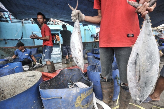 Ekonomi Nelayan Membaik di Masa Pandemi