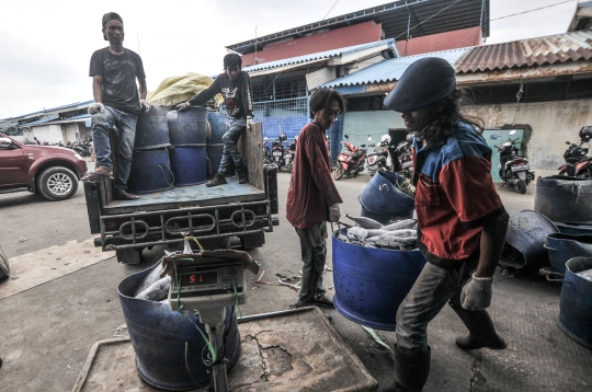 Ekonomi Nelayan Membaik di Masa Pandemi