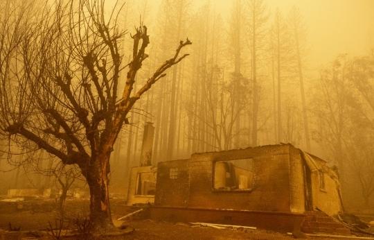 Sisa-Sisa Amukan Kebakaran Hutan di California