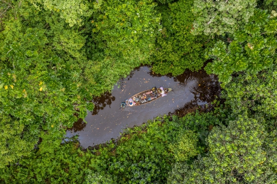 Menyusuri Hutan Rawa Langka di Afrika Barat