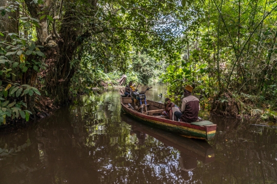 Menyusuri Hutan Rawa Langka di Afrika Barat