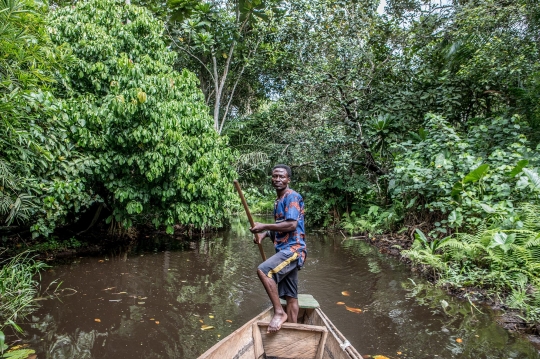 Menyusuri Hutan Rawa Langka di Afrika Barat