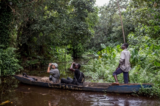 Menyusuri Hutan Rawa Langka di Afrika Barat