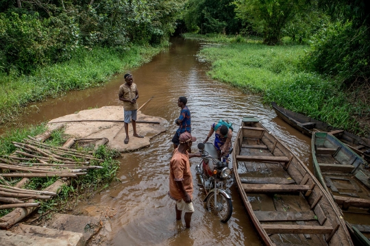 Menyusuri Hutan Rawa Langka di Afrika Barat