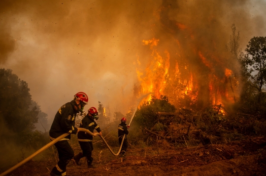 Aksi Pemadam dan Warga Berjibaku Jinakkan Kebakaran Hutan Yunani