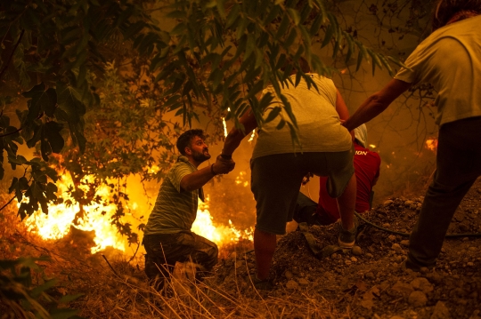 Aksi Pemadam dan Warga Berjibaku Jinakkan Kebakaran Hutan Yunani