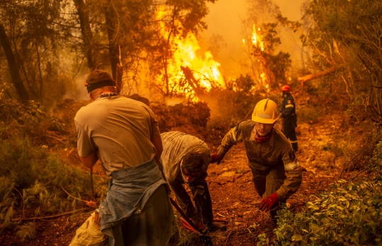 Aksi Pemadam dan Warga Berjibaku Jinakkan Kebakaran Hutan Yunani