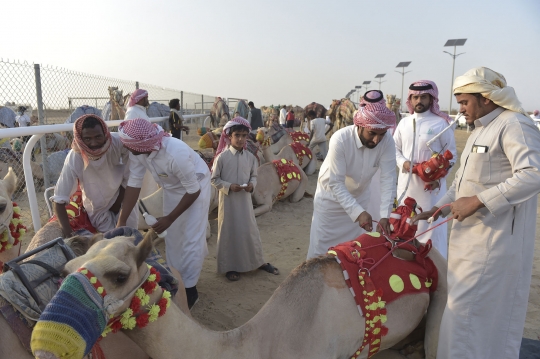 Melihat Festival Unta Putra Mahkota di Arab Saudi