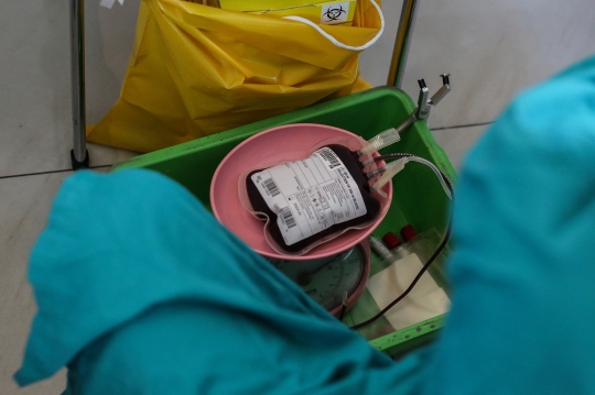 Kegiatan Donor Darah di GPIB Effatha Jakarta