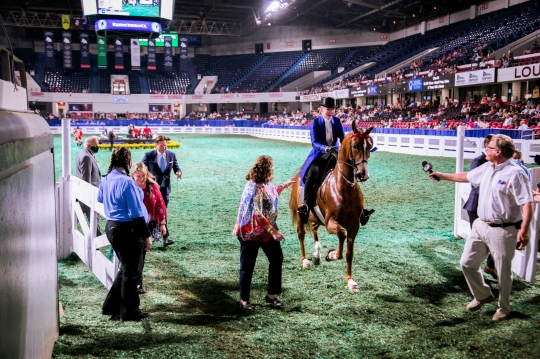 Joki-Joki Cantik di Kejuaraan Dunia Horse Show 2021