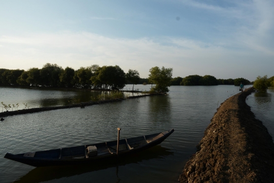 Kenaikan Air Laut di Pantai Bahagia Muara gembong