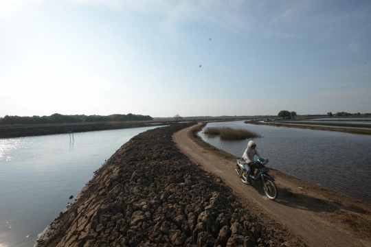 Kenaikan Air Laut di Pantai Bahagia Muara gembong