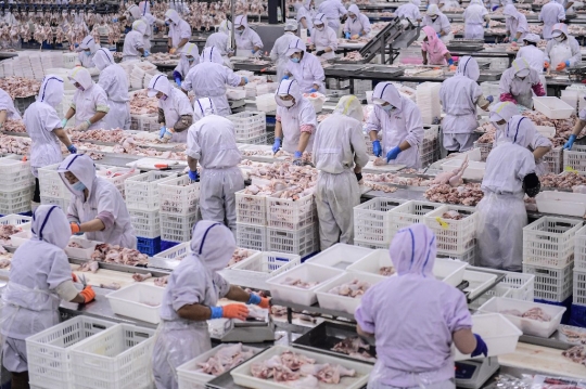 Menengok Pabrik Pengolahan Daging dan Unggas di China