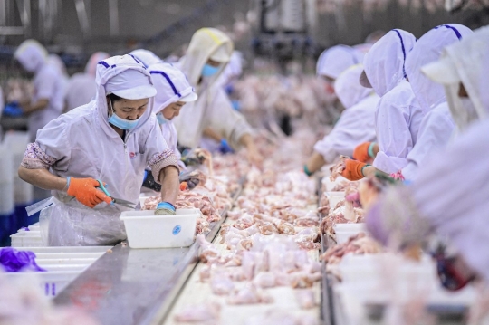 Menengok Pabrik Pengolahan Daging dan Unggas di China