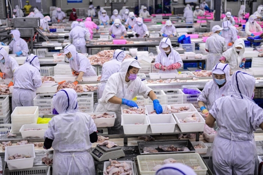 Menengok Pabrik Pengolahan Daging dan Unggas di China