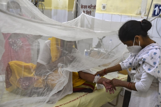 Intip Bangsal Pasien Demam Berdarah di India