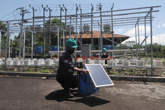 Melihat Pembangkit Listrik Tenaga Surya 1 MWP di Bangli