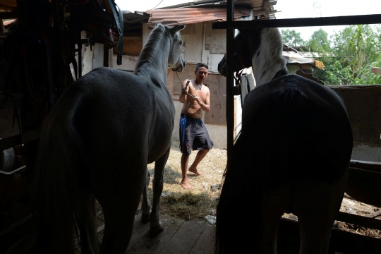 Pemeriksaan Kesehatan Kuda Delman di Masa PPKM