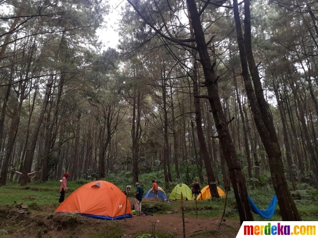 Pengunjung menggelar tenda saat menikmati liburan di lokasi perkemahan Curug Hiji, Bogor, Minggu (5/9/2021). Meski Kabupaten Bogor masih dalam masa PPKM level 3, sejumlah lokasi wisata luar ruangan mulai ramai dikunjungi pengunjung.