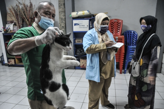 Vaksinasi Rabies untuk Hewan Peliharaan