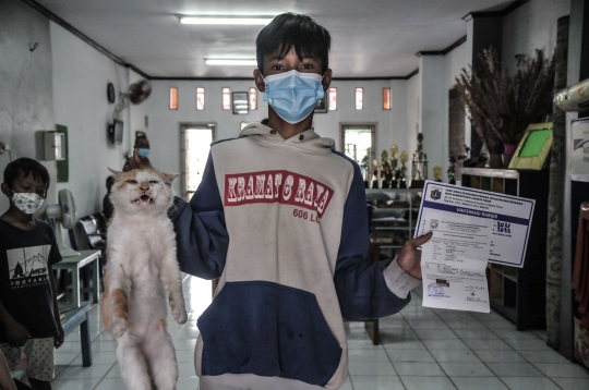 Vaksinasi Rabies untuk Hewan Peliharaan