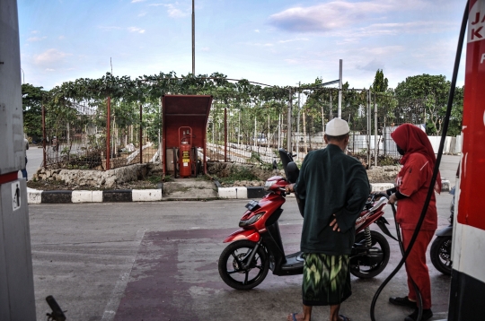 Menyulap Lahan Kosong Jadi Kebun Anggur