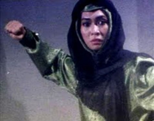 Masih Ingat Gak, Ini Potret Aktor Laga Indonesia ada Si Buta Dari Gua Hantu