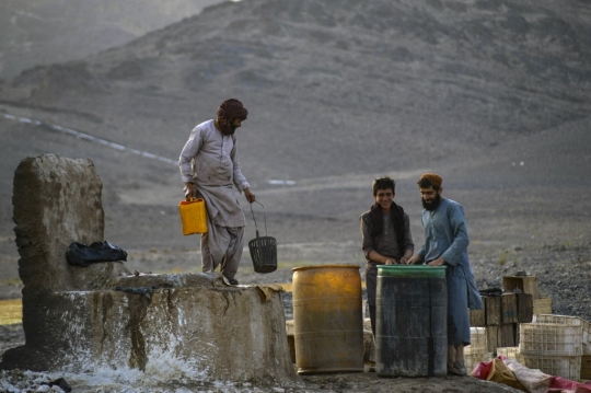 Melihat Aktivitas Petani Anggur di Afghanistan