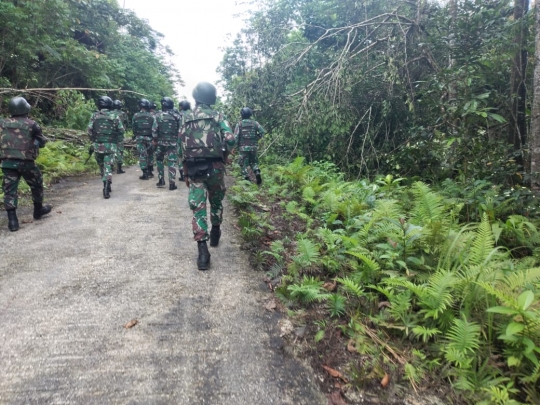 Pasukan TNI Bersenjata Lengkap Membelah Hutan Belantara Buru KNPB di Papua Barat