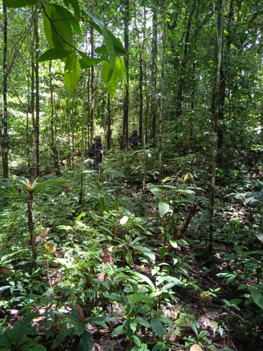 Pasukan TNI Bersenjata Lengkap Membelah Hutan Belantara Buru KNPB di Papua Barat