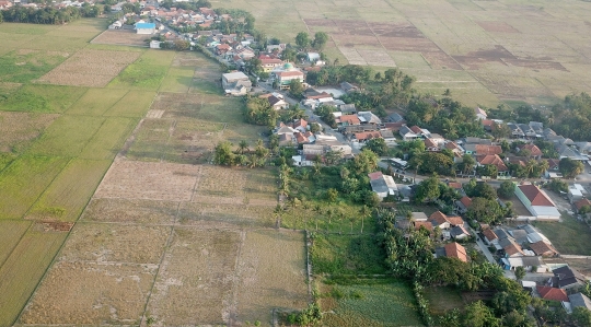 Petani Desa Sukaringin Gagal Panen Akibat Kekeringan