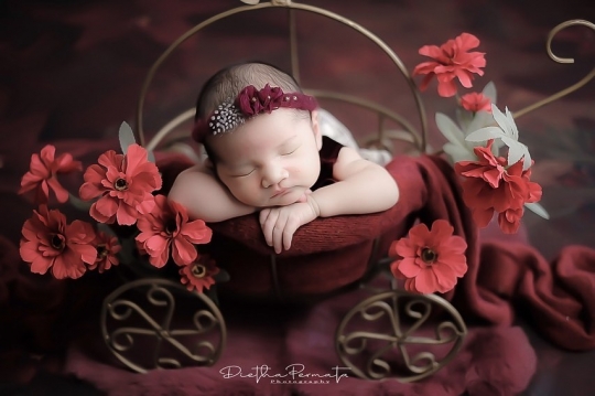 Deretan Foto Lucu Anak Pertama Nella Kharisma saat Pemotretan Newborn, Bikin Gemas!