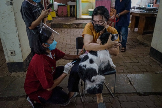 Vaksin Rabies Gratis di Petukangan Jakarta