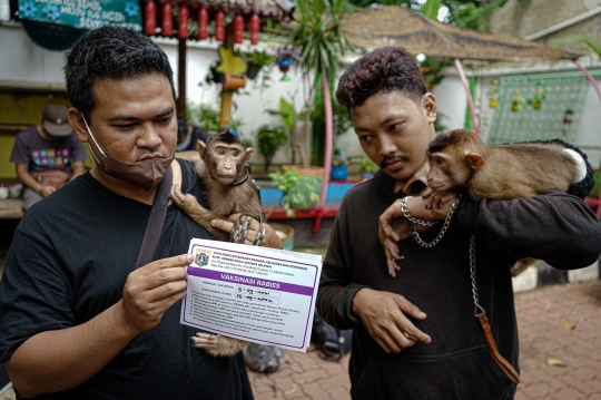 Vaksin Rabies Gratis di Petukangan Jakarta