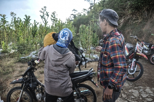 Ojek Gunung di Kaki Sindoro