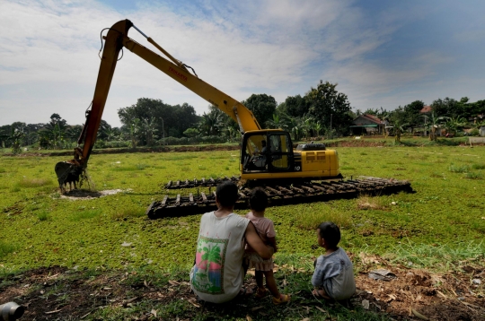 Situ Tujuh Muara yang Sebagian Sisinya Dipenuhi Gulma