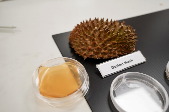 Peneliti Singapura Ciptakan Perban dari Kulit Durian