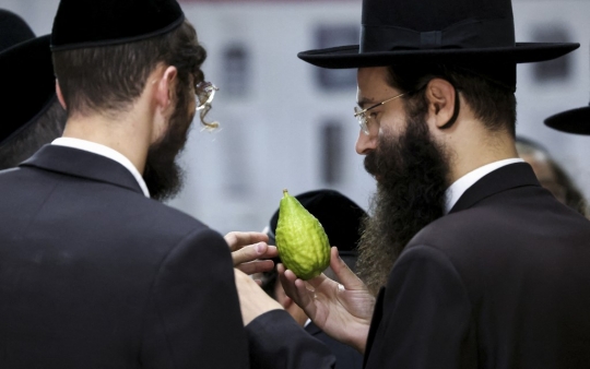 Etrog, Jeruk Israel untuk Ritual Perayaan Sukkot