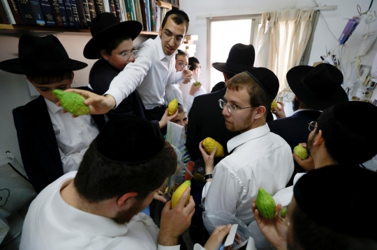 Etrog, Jeruk Israel untuk Ritual Perayaan Sukkot