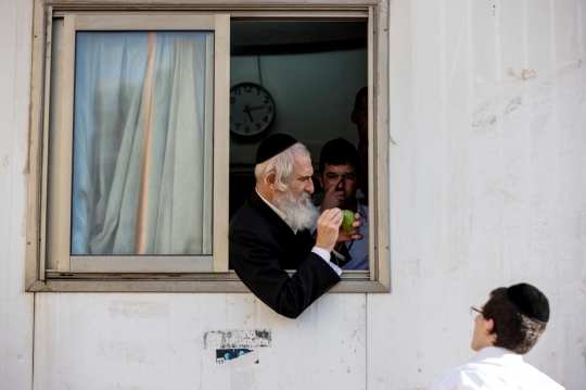 Etrog, Jeruk Israel untuk Ritual Perayaan Sukkot