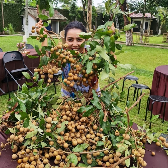 Kehidupan Anak Mantan Penguasa Negeri Selama 32 Tahun, Enjoy Petik Buah Sendiri