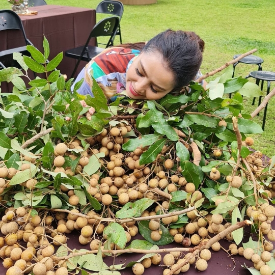 Kehidupan Anak Mantan Penguasa Negeri Selama 32 Tahun, Enjoy Petik Buah Sendiri