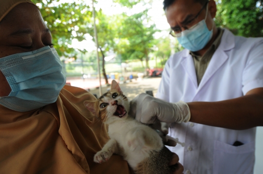 Cegah Rabies, Hewan Peliharaan Warga Disuntik Vaksin Secara Gratis