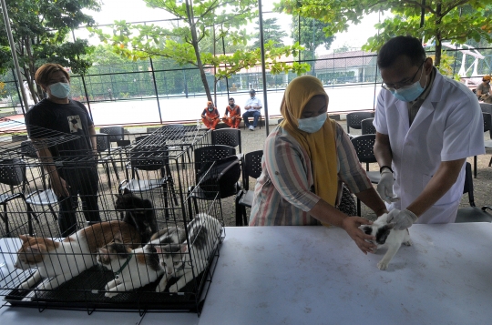 Cegah Rabies, Hewan Peliharaan Warga Disuntik Vaksin Secara Gratis